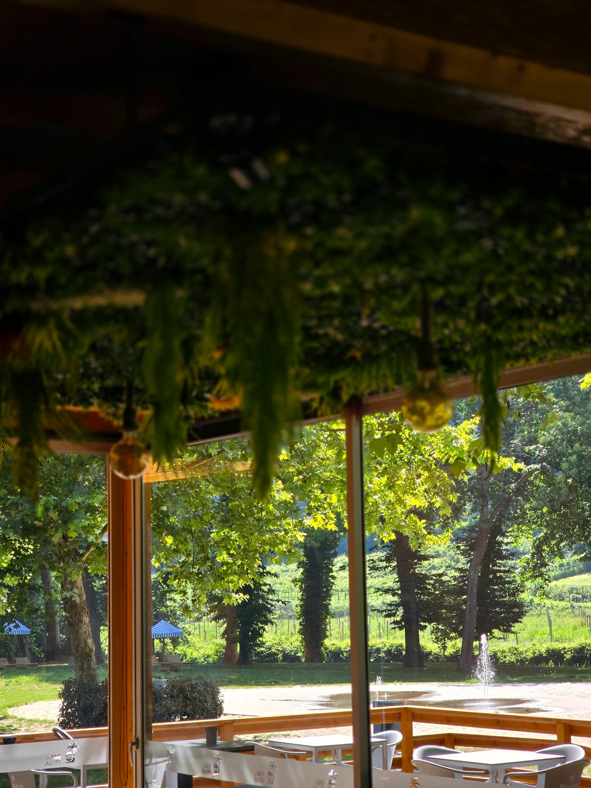 Interior do Bar da Praia: plantas pendentes e vista para o parque pela janela