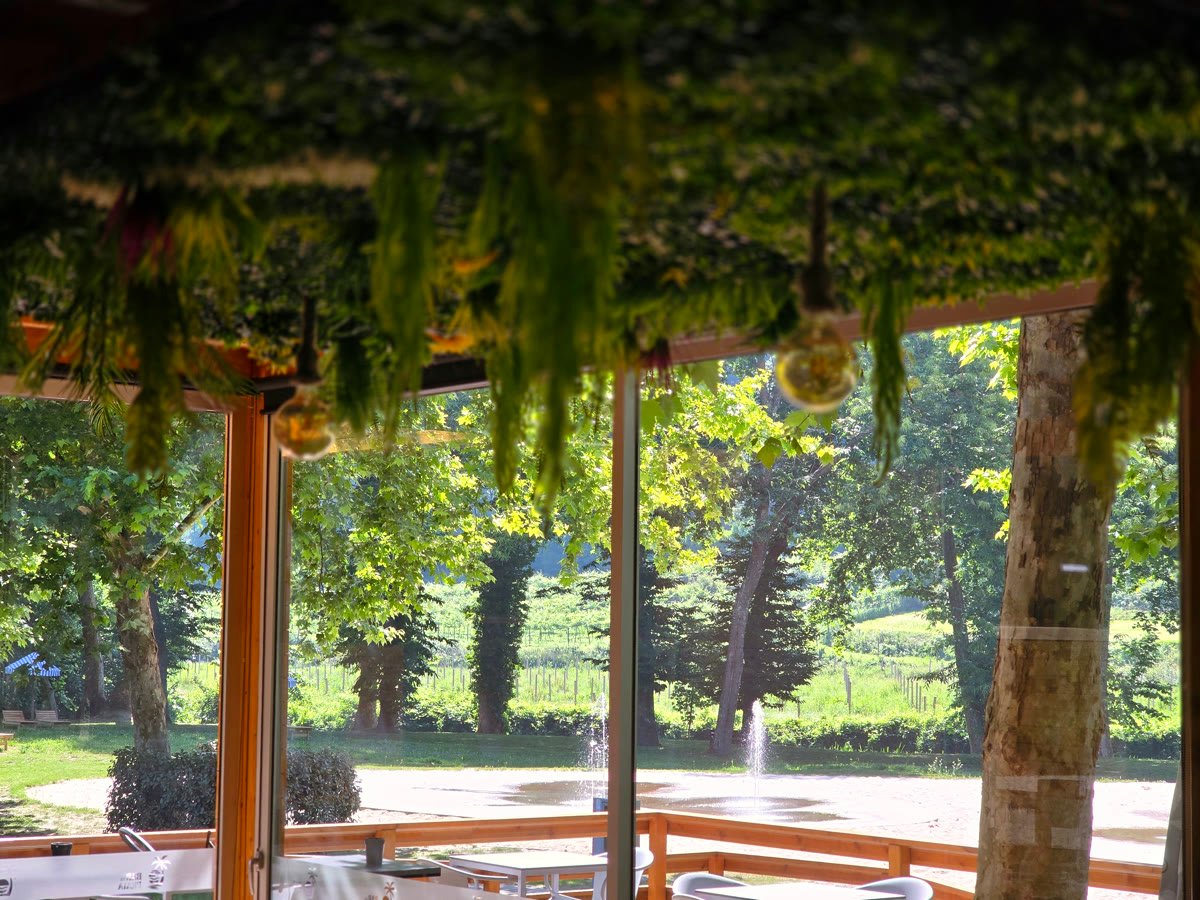 Interior com plantas pendentes e vista para o parque e a fonte