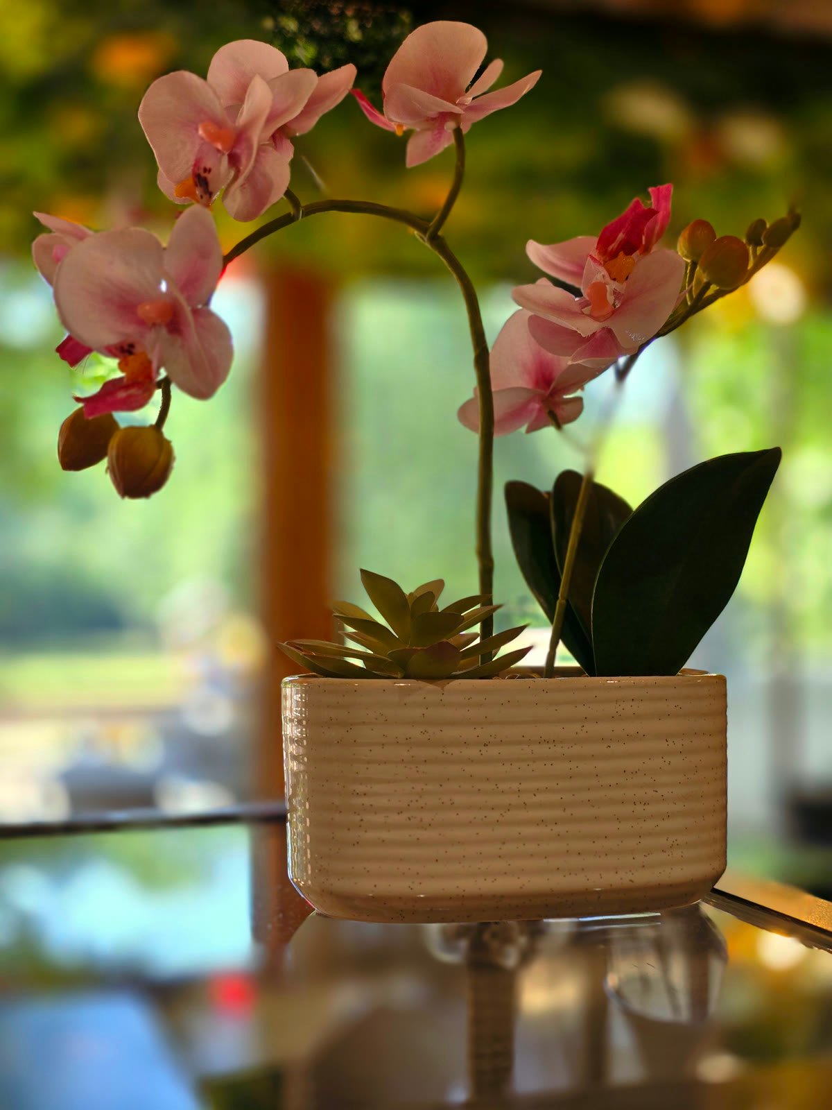 Orquídea no interior do Bar da Praia, entre as plantas e a luz quente