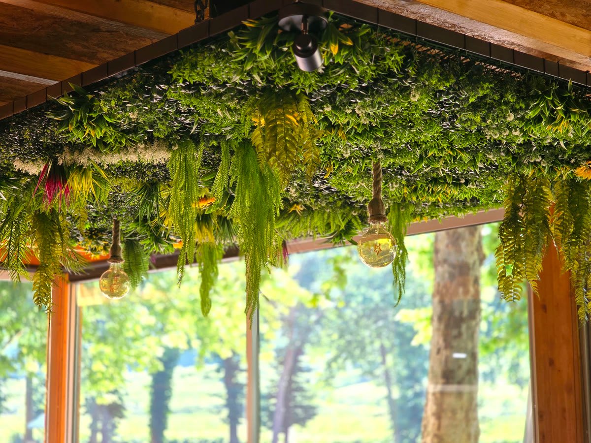 Parede de plantas e janela com vista para o parque